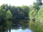Teich inklusive Enten im Park am Gaasperplas.
